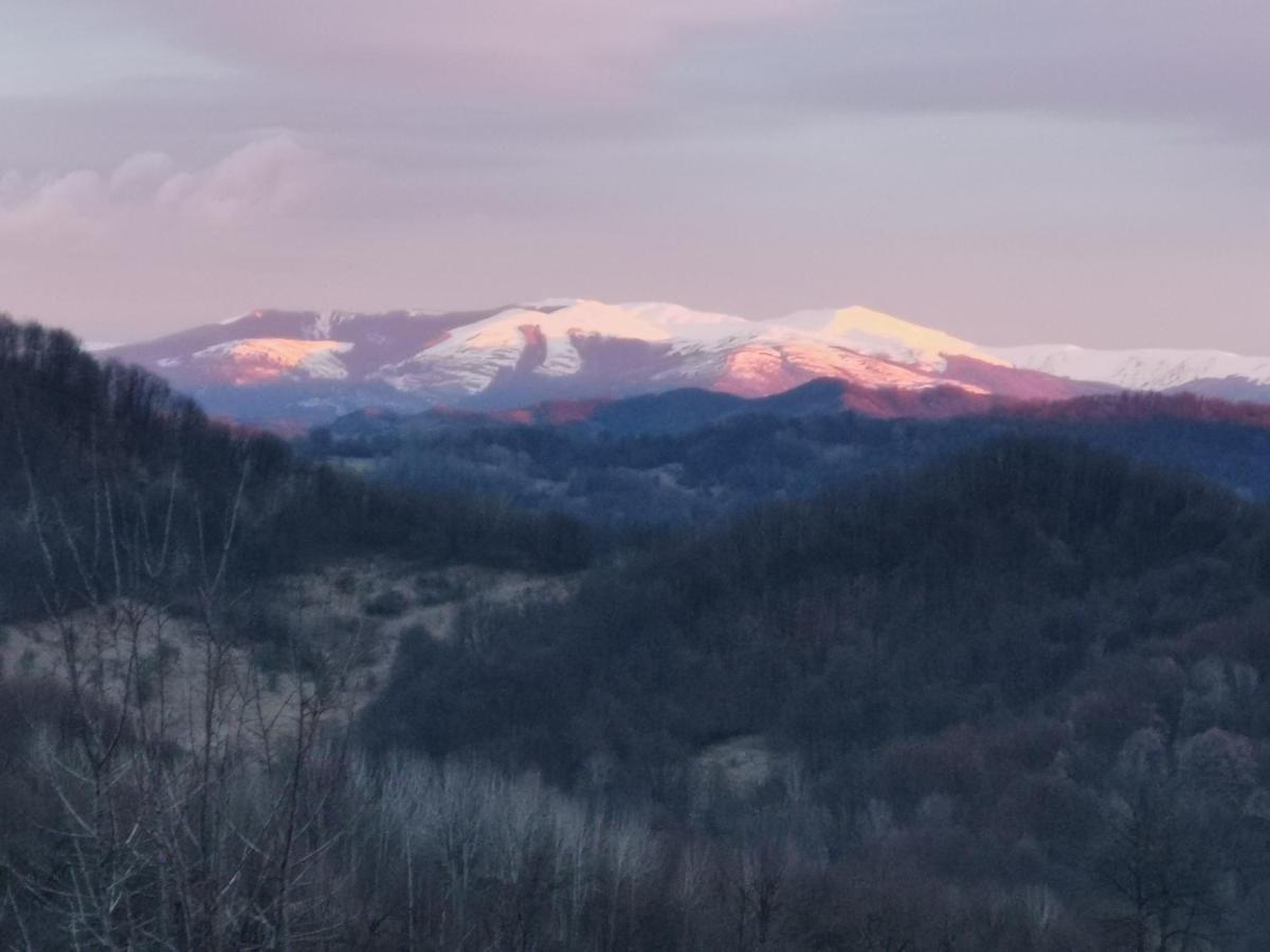 Cabanuta Fara Fite Villa Provita de Jos Exterior foto