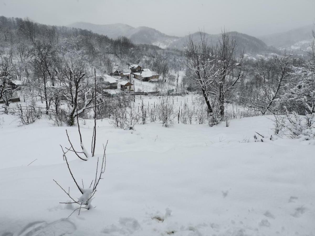 Cabanuta Fara Fite Villa Provita de Jos Exterior foto