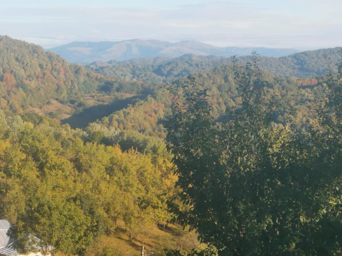 Cabanuta Fara Fite Villa Provita de Jos Exterior foto