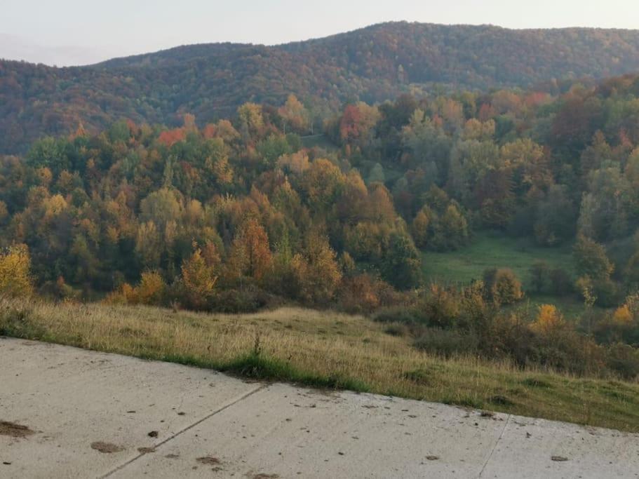 Cabanuta Fara Fite Villa Provita de Jos Exterior foto