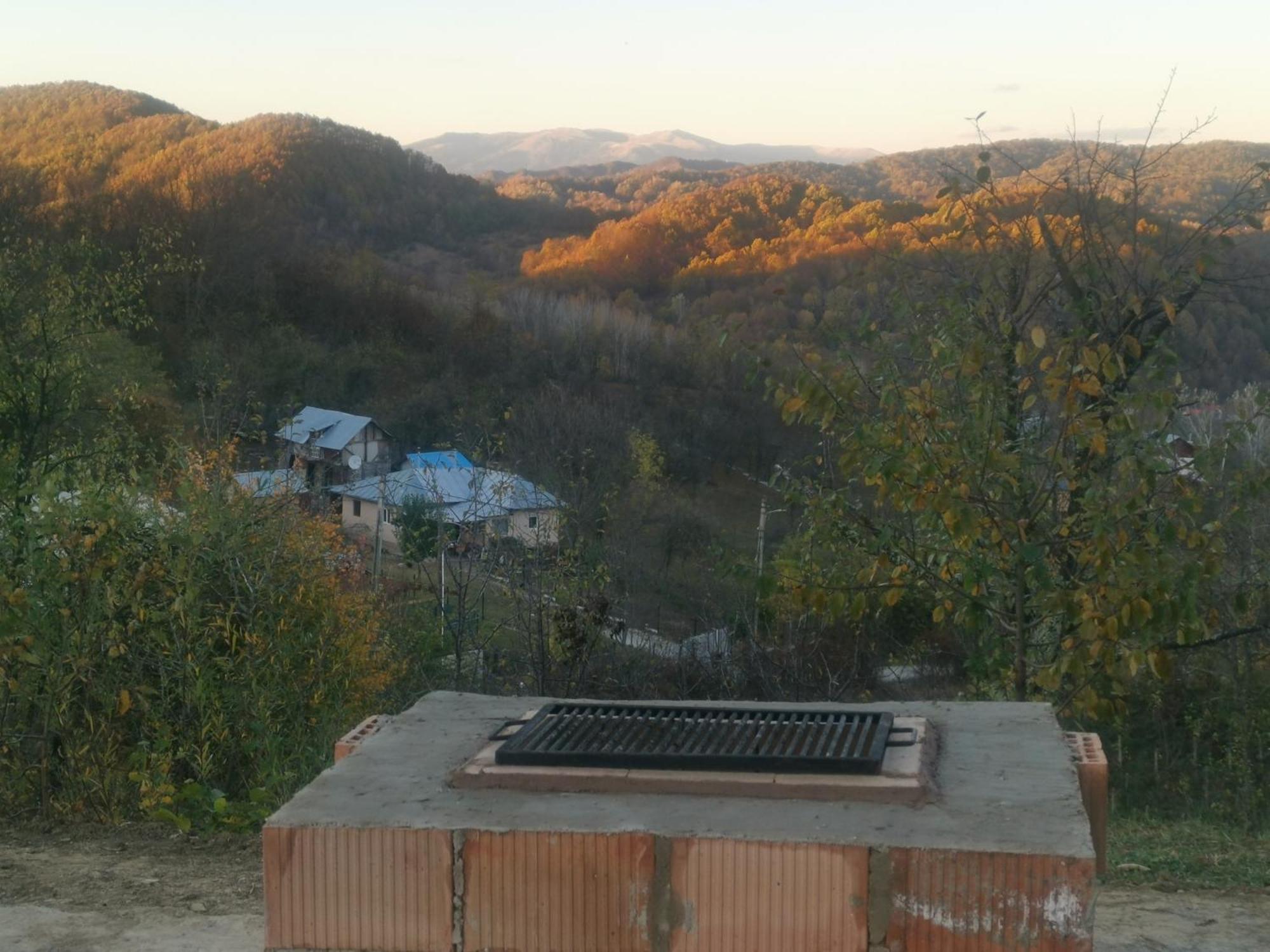 Cabanuta Fara Fite Villa Provita de Jos Exterior foto